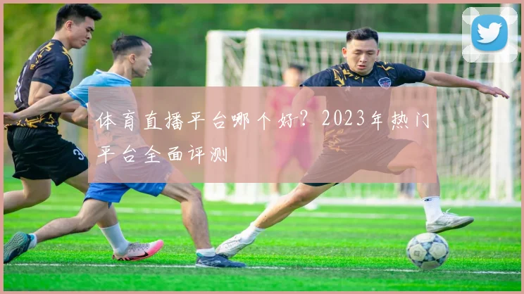 体育直播平台哪个好?2023年热门平台全面评测