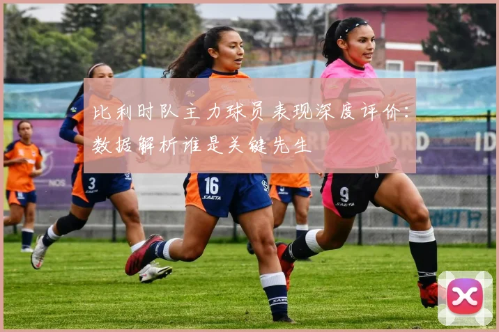比利时队主力球员表现深度评价:数据解析谁是关键先生